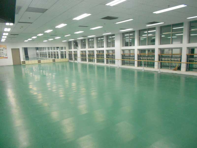 河北保定市河北大學藝術學院舞蹈糟老头子破解版黄台