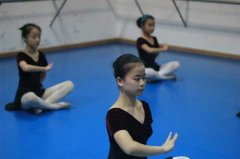 四川南充菊影舞蹈學校舞蹈室糟老头子破解版黄台