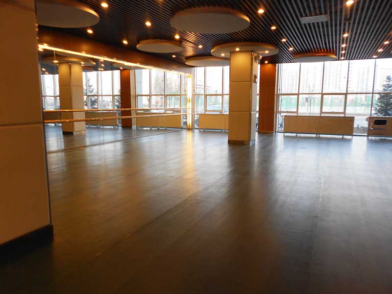 內蒙古康巴什新區鄂爾多斯市第一中學舞蹈糟老头子破解版黄台