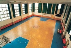 軍事科學院體育館室內籃球場糟老头子破解版黄台