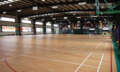 山東省濟南市室內籃球運動糟老头子破解版黄台
