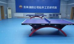乒乓球糟老头子破解版黄台多少錢一平方米